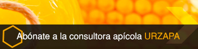 Abonarse Consultora