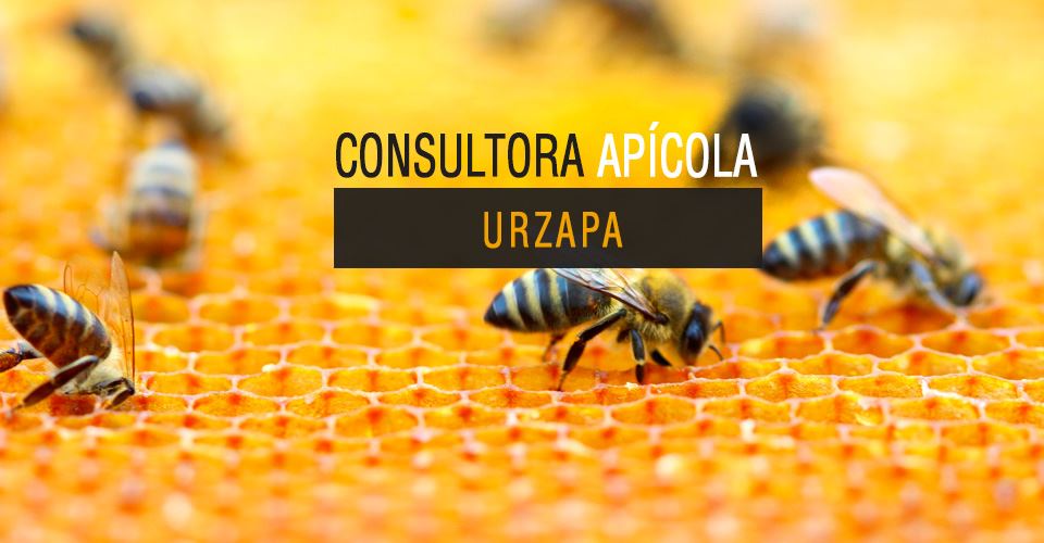 Consultora Apícola Urzapa