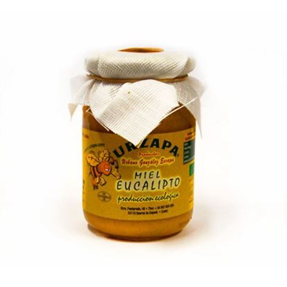 Miel de Eucalipto 1 kilo
