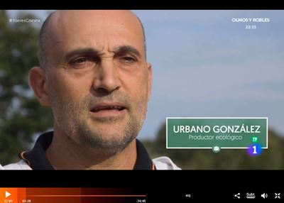 EN LA TELE CON LOS TORRES, DESDE EL PRINCIPIO AL MINUTO 5