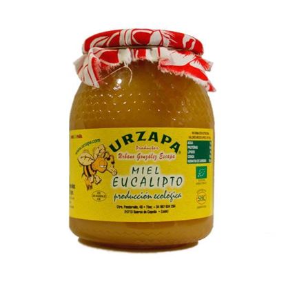 Picture of Miel de Eucalipto 1Kg